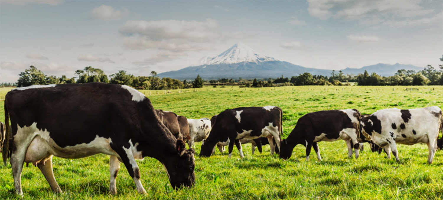 fonterra - large image