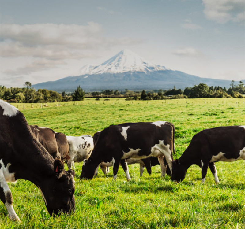 Fonterra Image Til